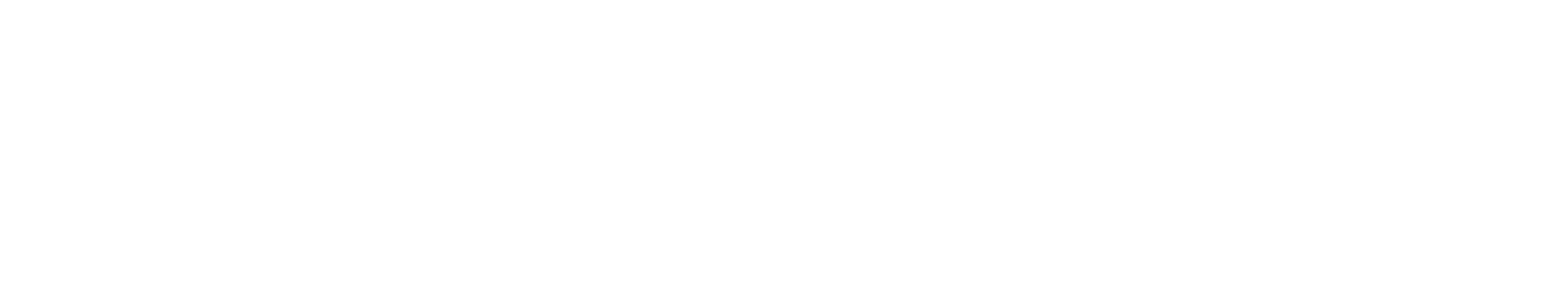 The Vant Group